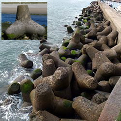 Tetrapods