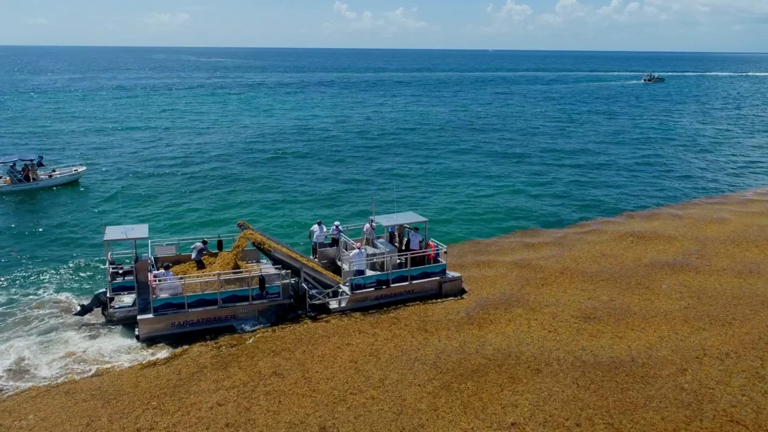 Bateau-recolter-sargasses-the-ocean-cleaner