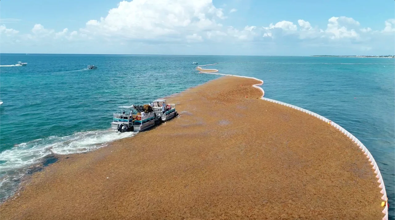 Sargaboat-sargatrailer-solution-sargasses-the-ocean-cleaner19-c Sargaboat-sargatrailer-solution-sargasses-the-ocean-cleaner19