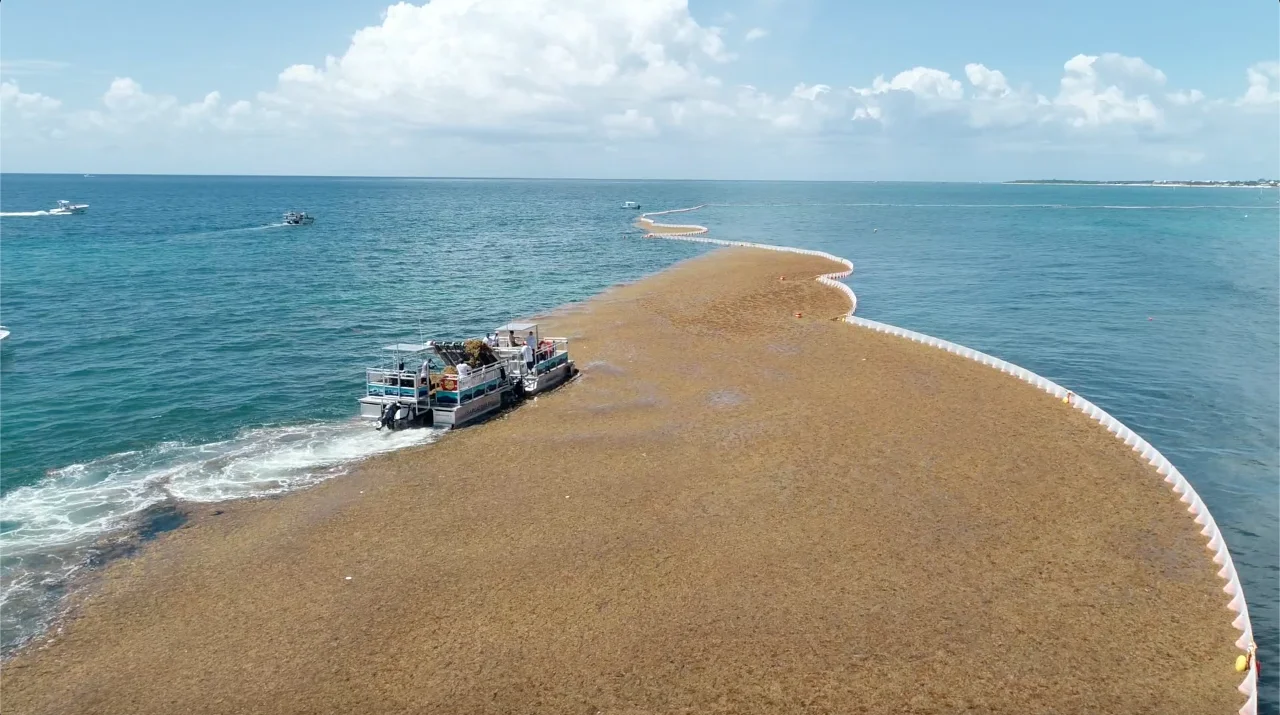 Sargaboat-sargatrailer-solution-sargasses-the-ocean-cleaner19