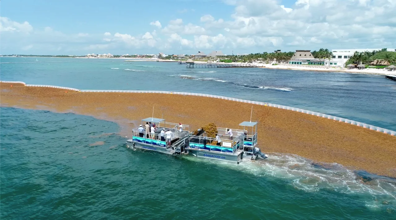 Sargaboat-sargatrailer-solution-sargasses-the-ocean-cleaner20-c Sargaboat-sargatrailer-solution-sargasses-the-ocean-cleaner20